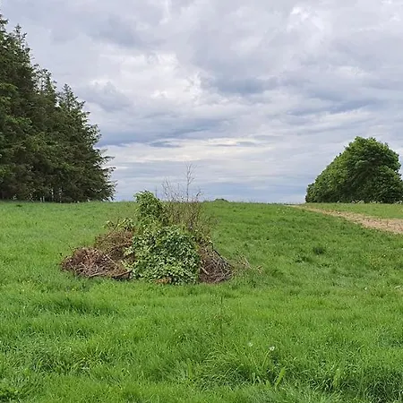 Lyxtält Jammerbugt Glamping